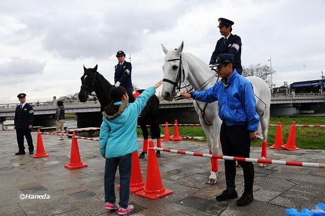 平安騎馬隊