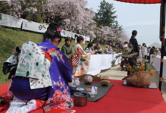 お茶席