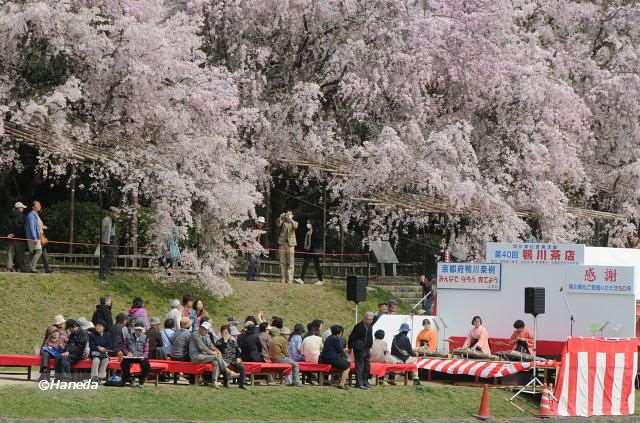 お琴と尺八の演奏