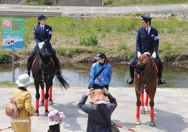 京都府警平安騎馬隊