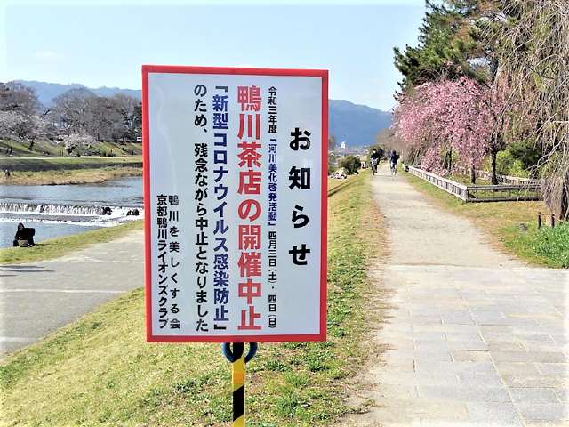 鴨川茶店・中止