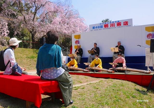 お琴と尺八の演奏-2