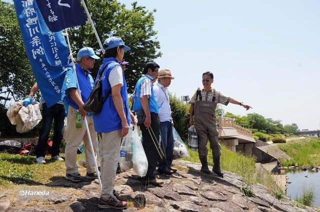 鴨川の天然アユについて-2