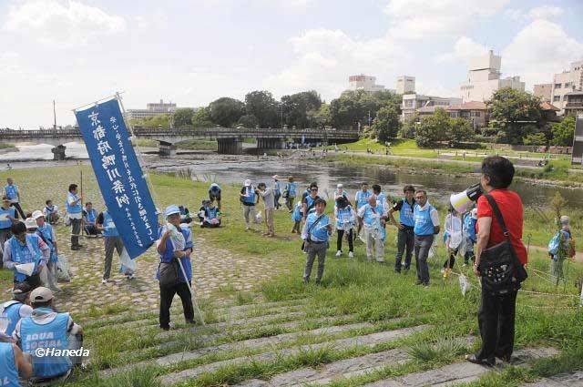 鴨川に飛来する野鳥について