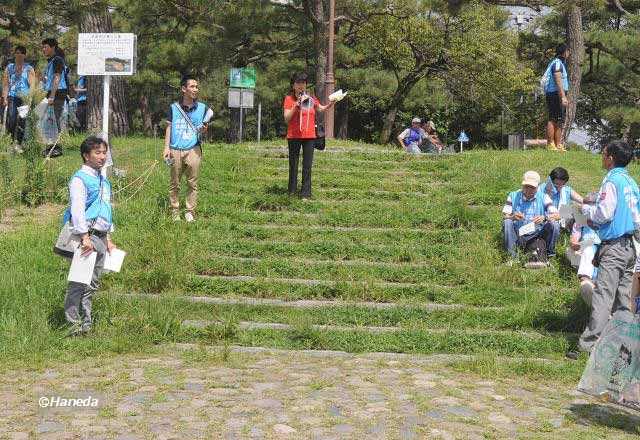 鴨川に飛来する野鳥について-2