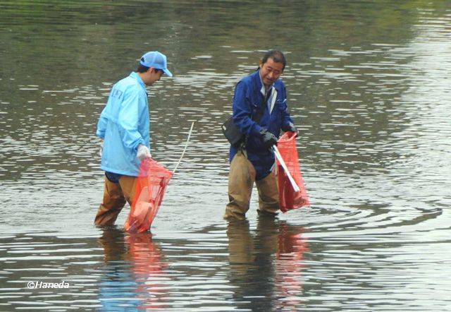 河床清掃