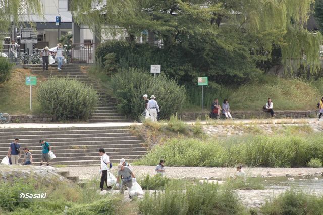 賀茂大橋上流付近