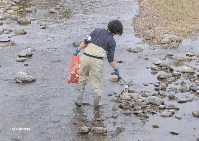 河床清掃