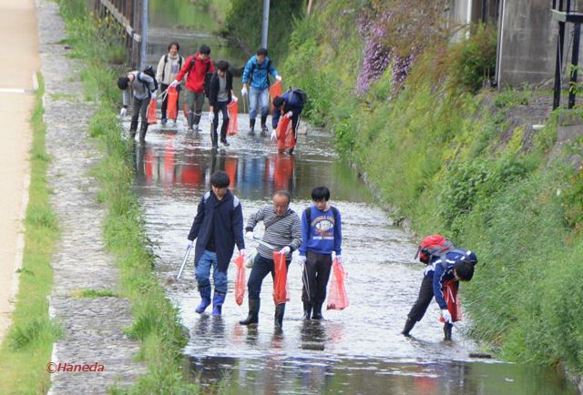 みそそぎ川清掃