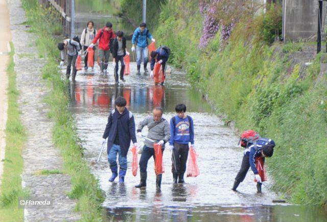 みそそぎ川清掃