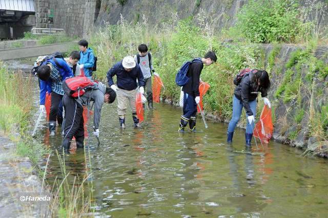 みそそぎ川清掃