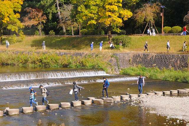 第4回 鴨川定例クリーンハイク