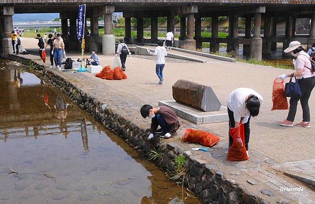 みそそぎ川など清掃-2