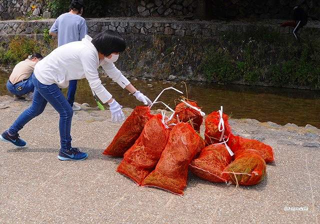 ごみ集積場