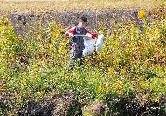 清掃活動清掃活動 Bコース-3