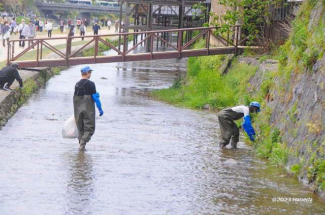 みそそぎ川など清掃-3