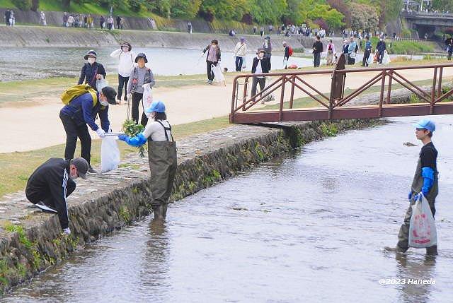 みそそぎ川など清掃-4