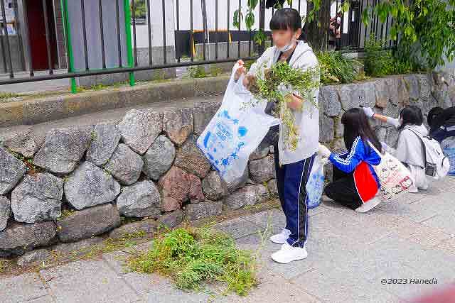 みそそぎ川など清掃-7