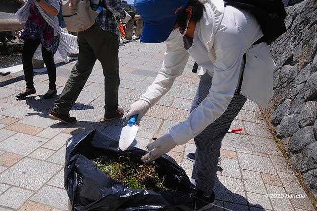 みそそぎ川など清掃-3