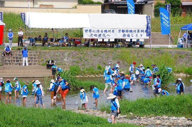 子どもたちによる鴨川の水質と水生生物調査-5