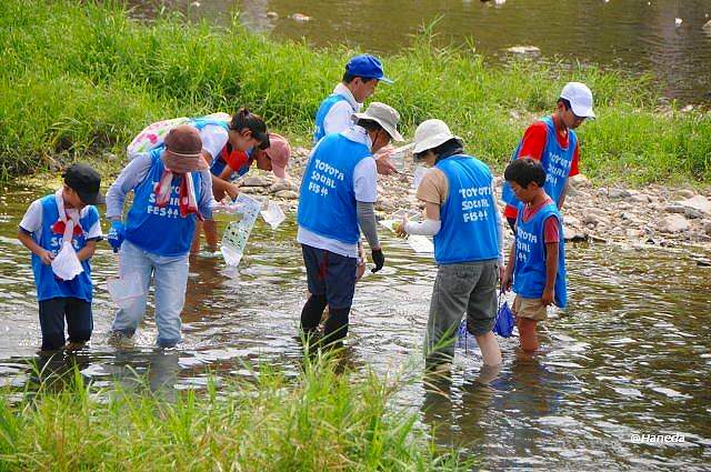 子どもたちによる鴨川の水質と水生生物調査-6