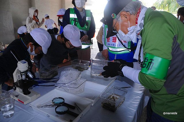 見つかりました-2