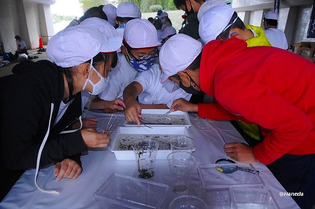 見つかりました-3