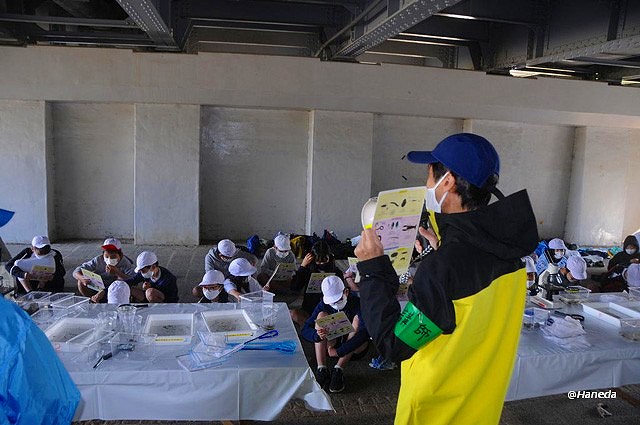 見つかりました-4