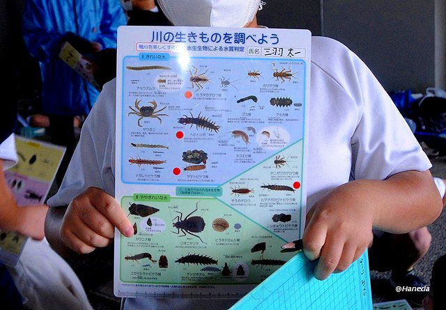 見つかりました-6