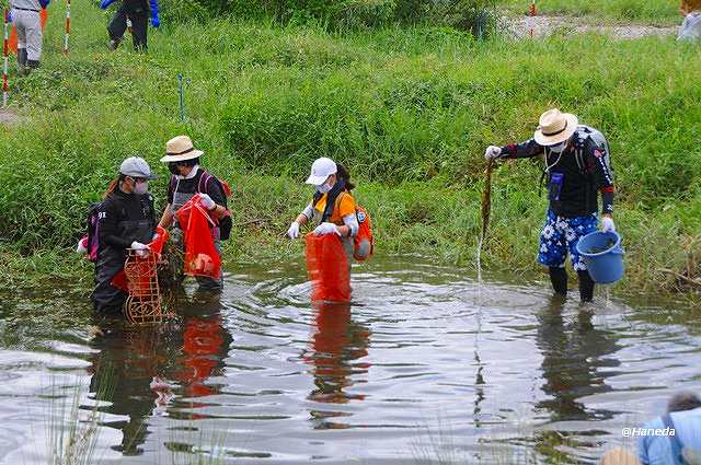 駆除活動 Part Ⅰ-2
