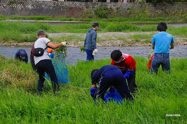 駆除活動 Part Ⅰ-4