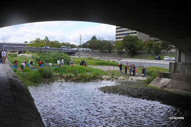 駆除活動 Part Ⅰ-5