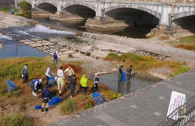駆除活動 Part Ⅰ-2