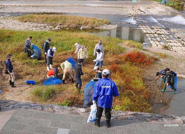 駆除活動 Part Ⅰ-3