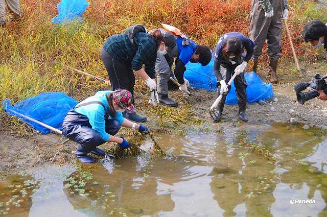 駆除活動 Part Ⅰ-5
