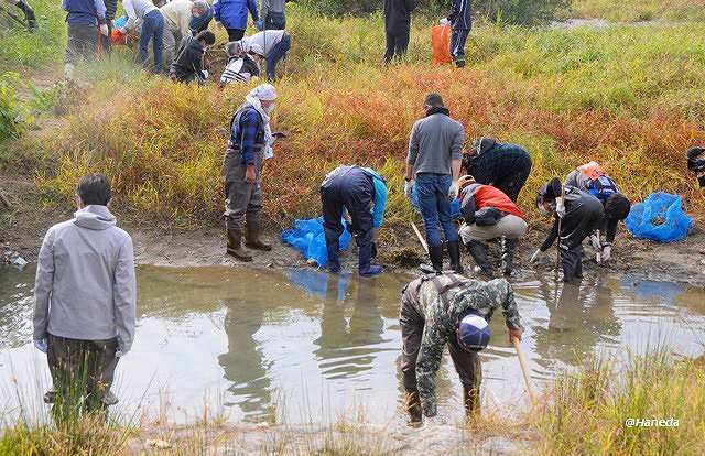 駆除活動 Part Ⅰ-6