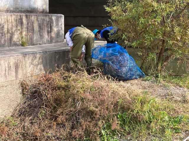 駆除活動 Part Ⅱ-2