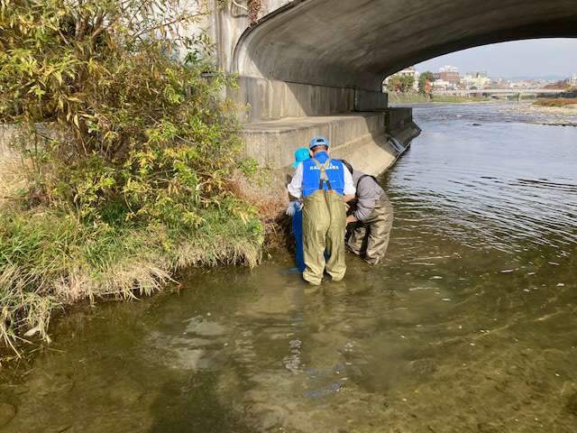 駆除活動 Part Ⅱ-4