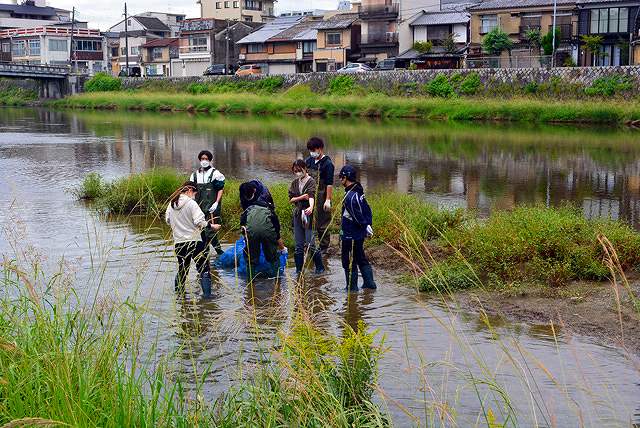 駆除活動-4