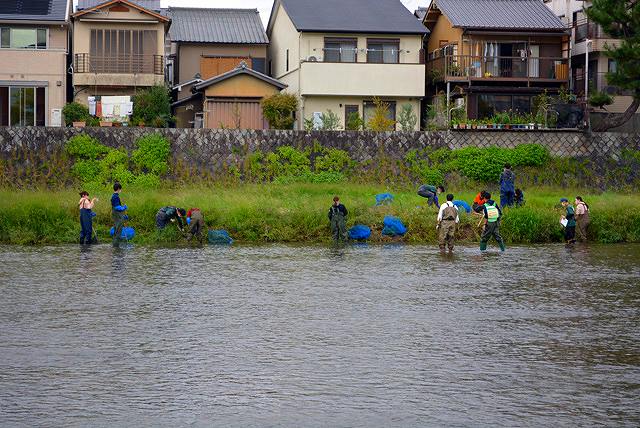 駆除活動-6