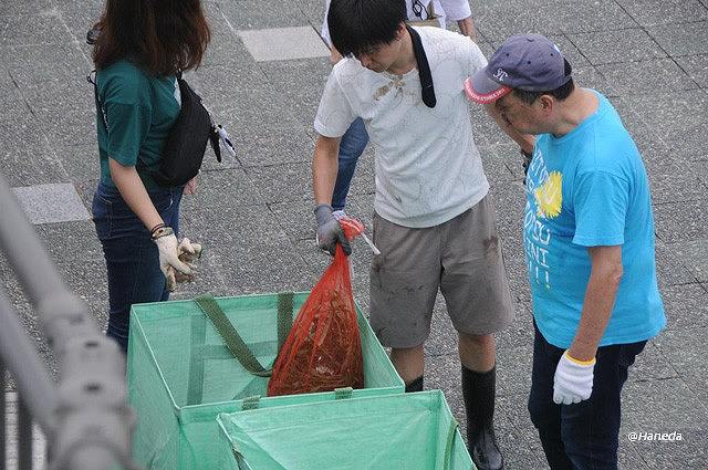 駆除されたオオバナミズキンバイ