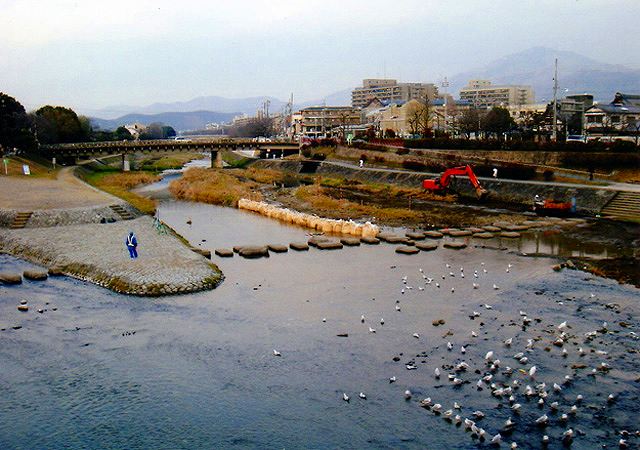 賀茂大橋 上流付近