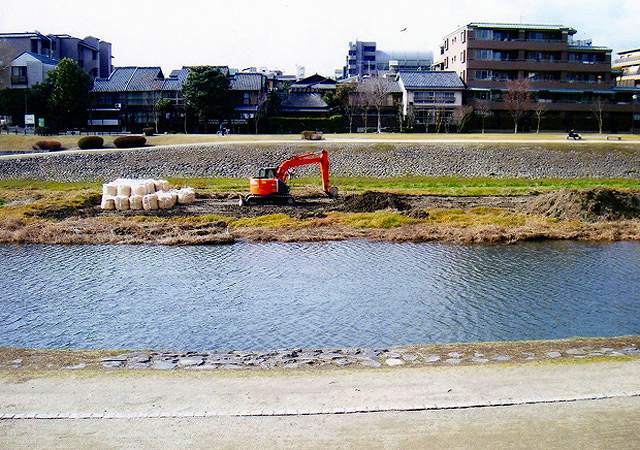 丸太町橋 右岸上流付近