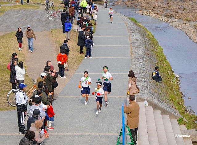 第24回 京都市小学校大文字駅伝大会-3