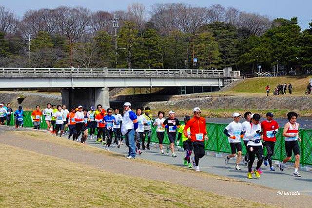 京都マラソン2012-4