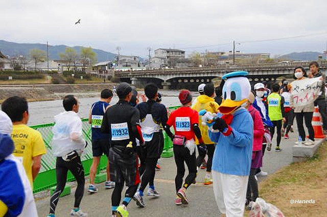 京都マラソン2013-5