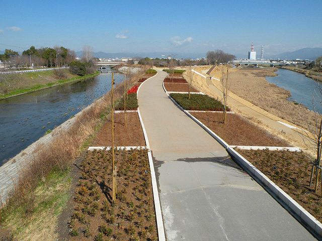 京川橋右岸河川敷上流整備工事-2