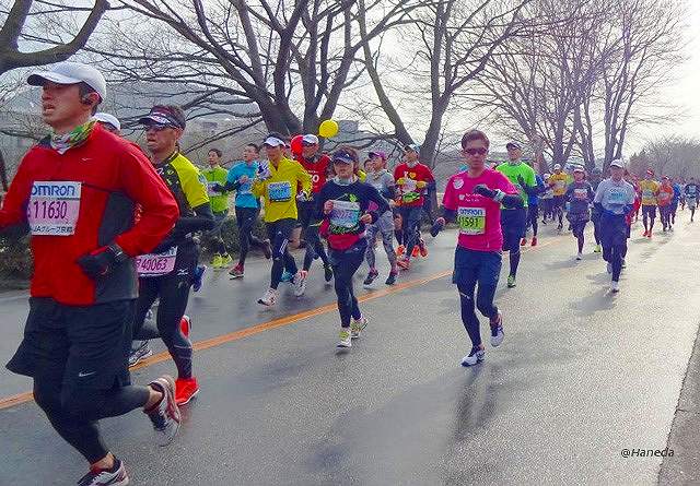 京都マラソン2015 西賀茂橋付近