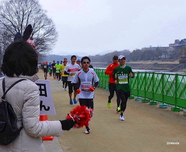 京都マラソン2015 賀茂大橋付近-5