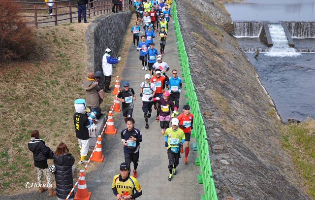 京都マラソン2015 賀茂大橋付近-8